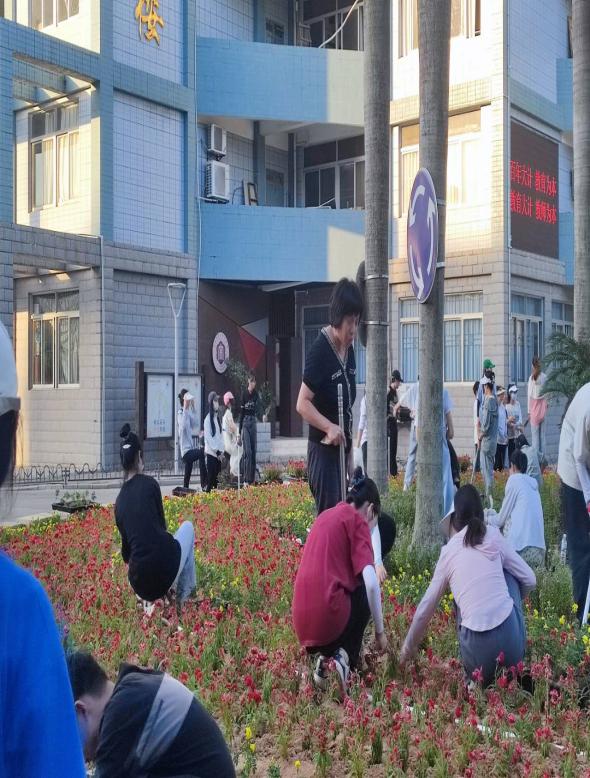 E95B84BEB2EA31357FF9A9AE3E7212A5